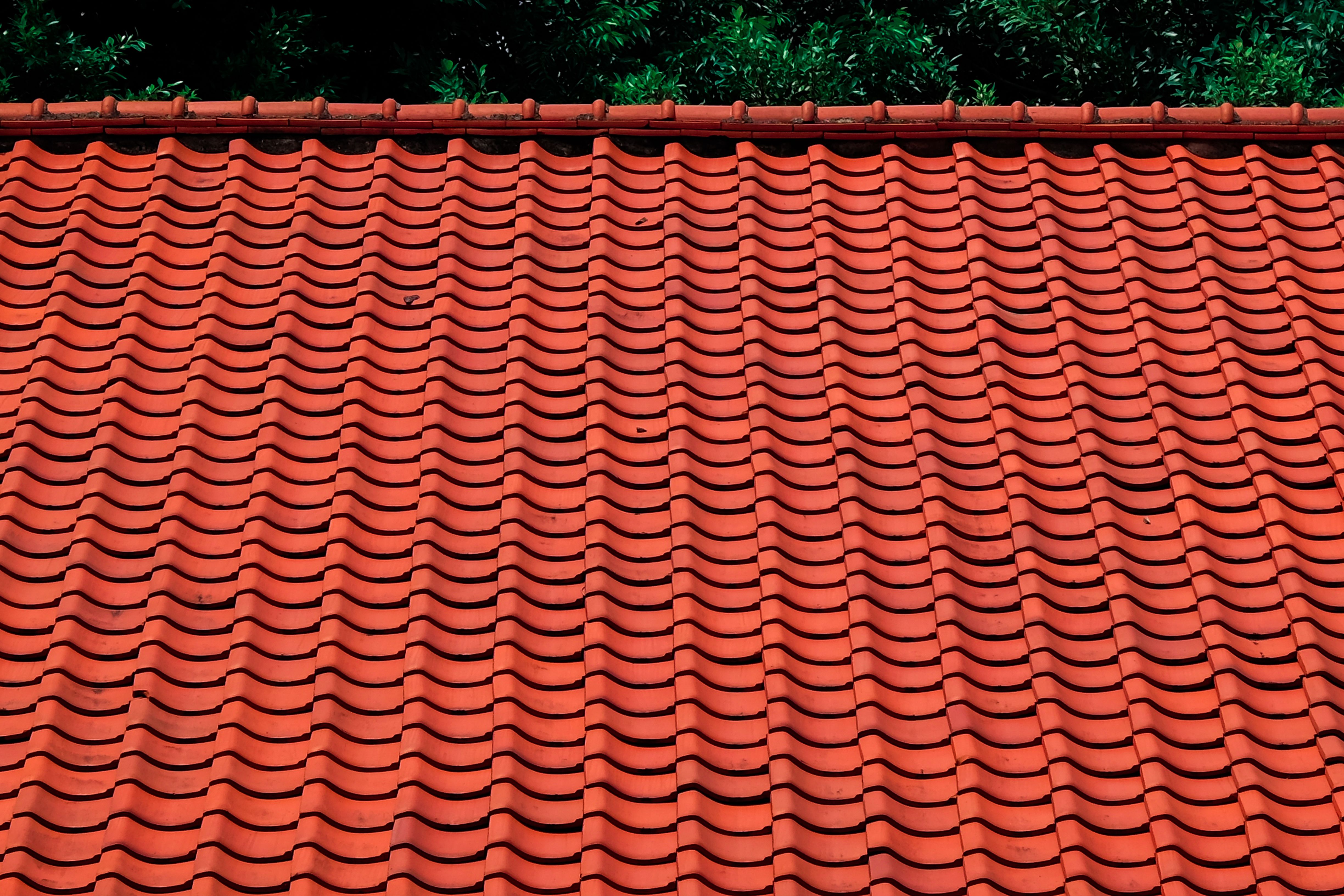 Teja shingle